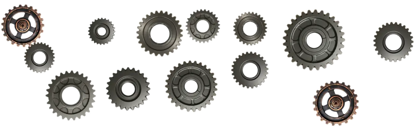 cogs2